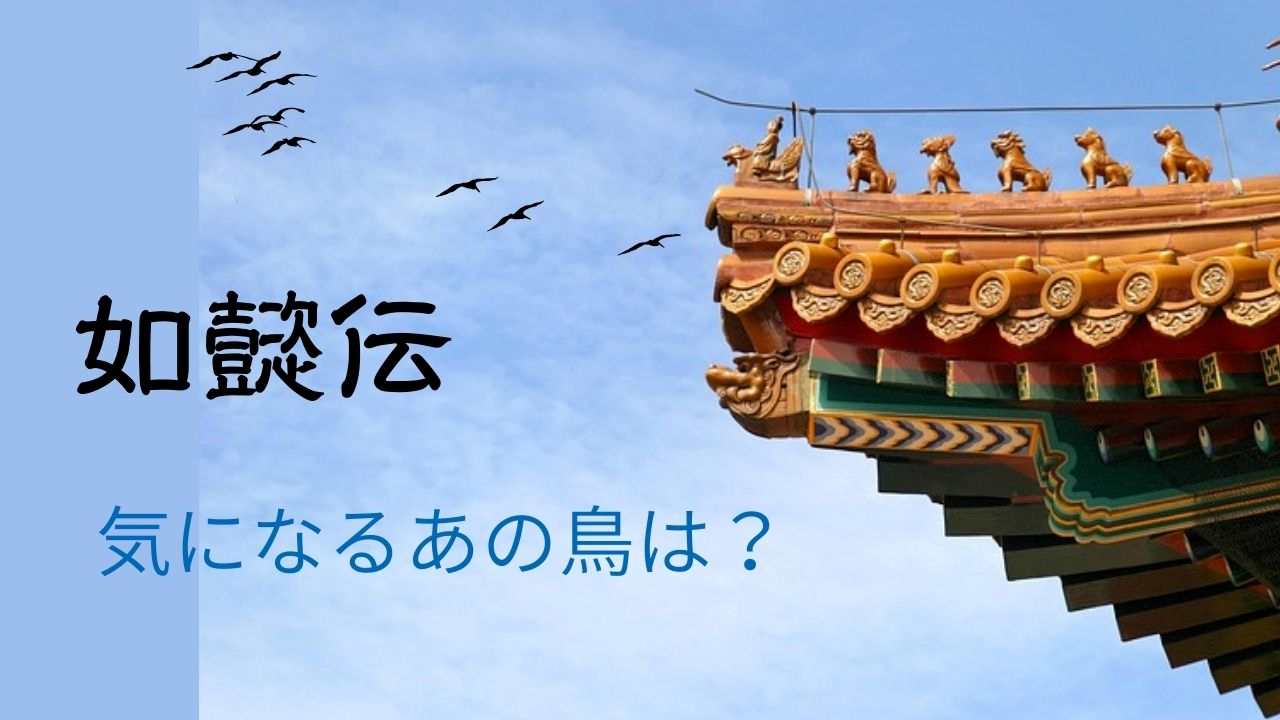 故宮と鳥